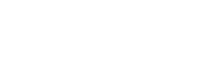 heideman logo